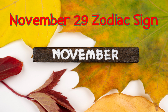 29 November Zodiac Sign: Birthday, Personality, Love, Compatibility, Career, and Family